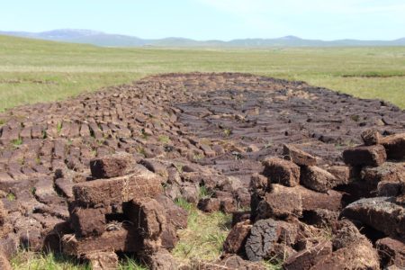 Cours Whisky tourbé à domicile